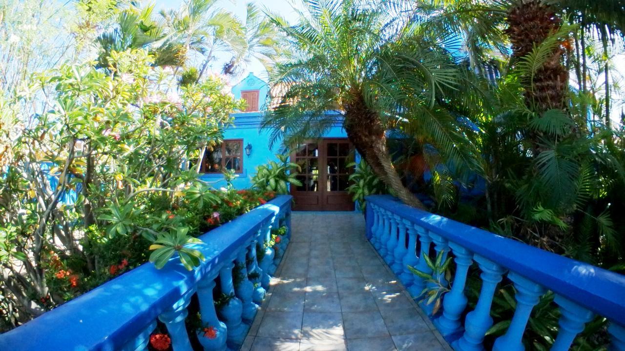 De Cuba Bed & Breakfast Ноорд Екстер'єр фото